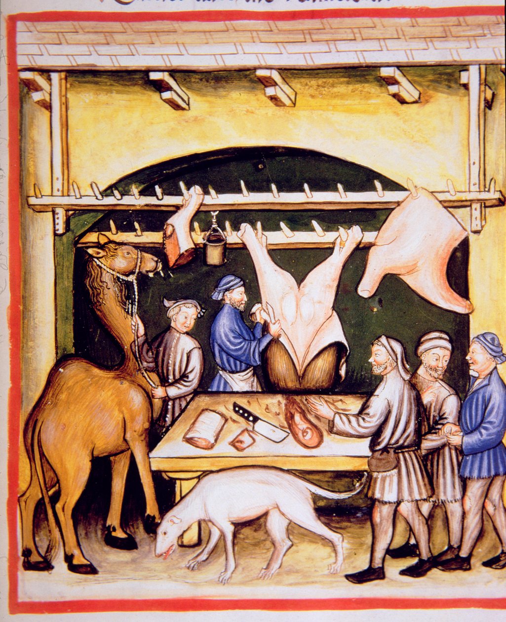 Fol.74r肉屋：牛とラクダの肉、Tacuinum Santiatis Codex Vindobonensisのイラスト 作： イタリア語学校