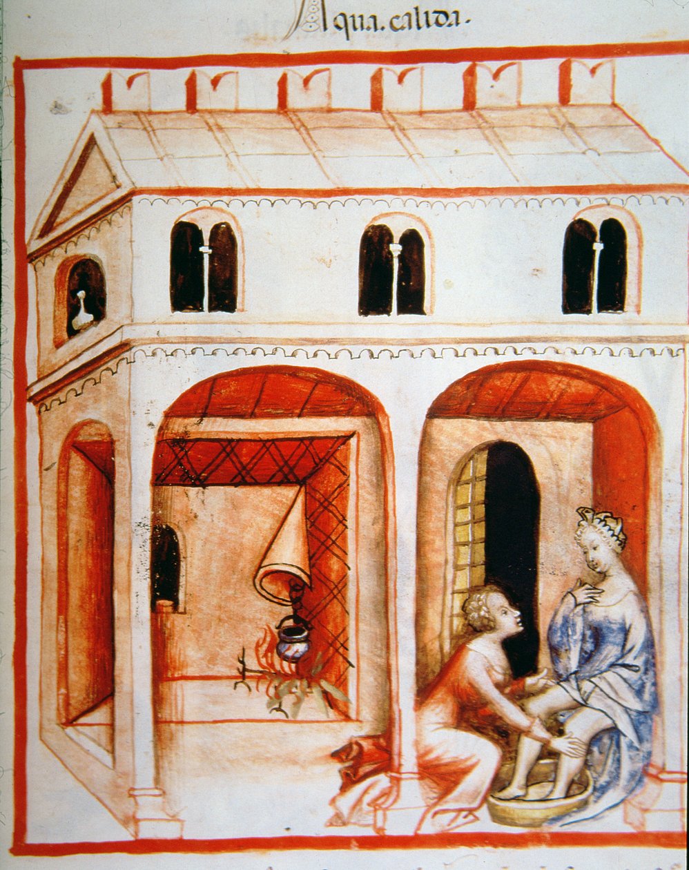 Fol.89rお湯、Tacuinum Santiatis Codex Vindobonensisのイラスト 作： イタリア語学校