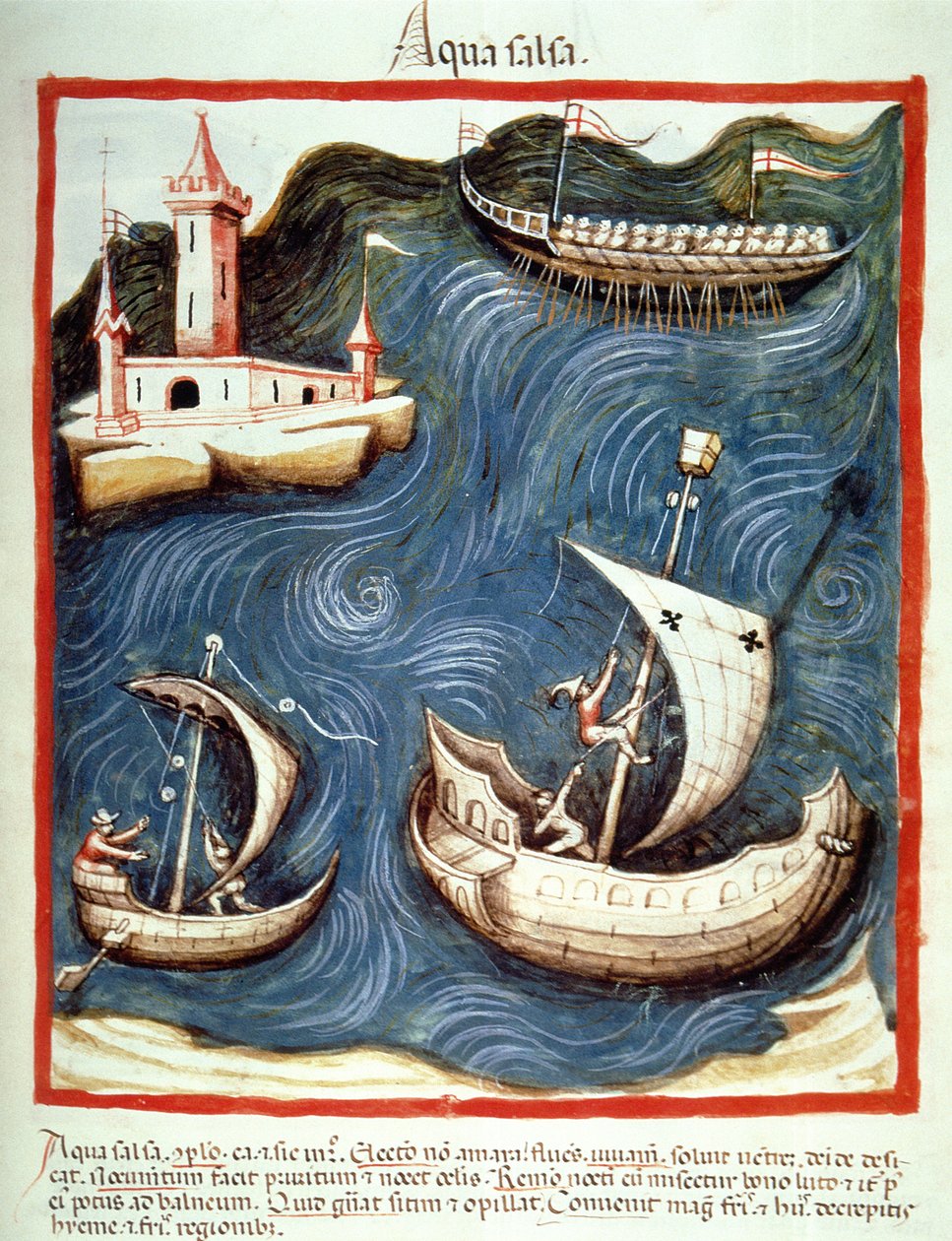 ノヴァ2644 f.88r海のボート、Tacuinum Santiatis Codex Vindobonensisのイラスト 作： イタリア語学校