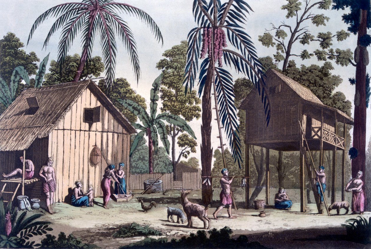スマトラの先住民居住地、1820年代〜30年代 作： イタリア語学校
