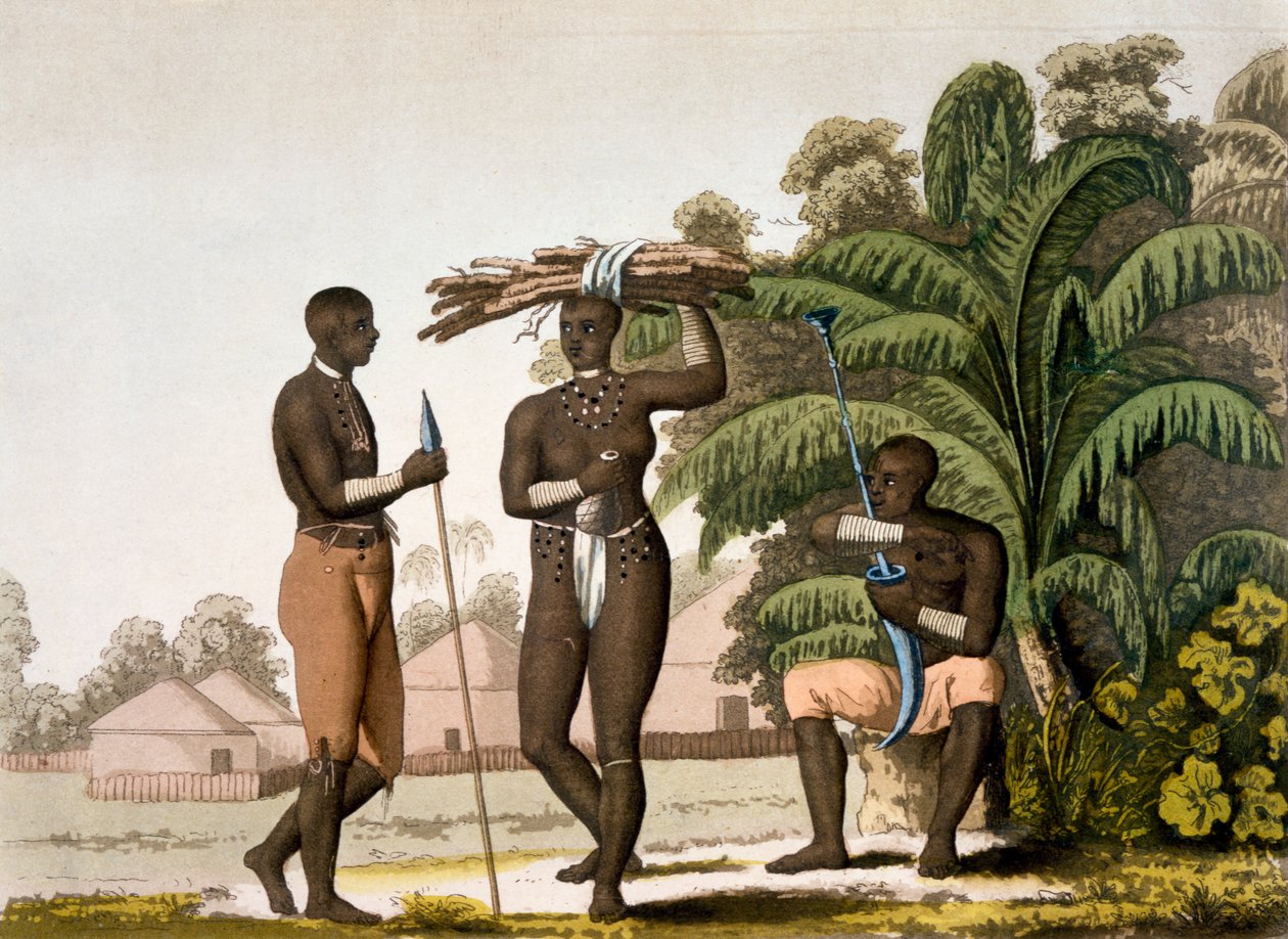 サウスイーストコースト：カフェル国家、1820年代から30年代 作： イタリア語学校