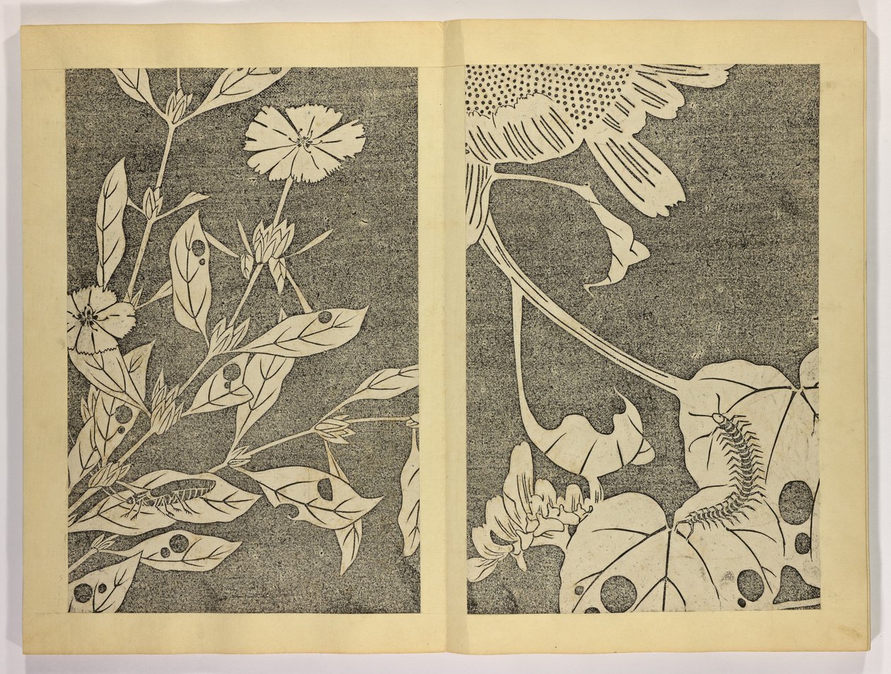 ジャクチ？ gaj , c.1910（木版画） 作： 伊藤属性若chuへ