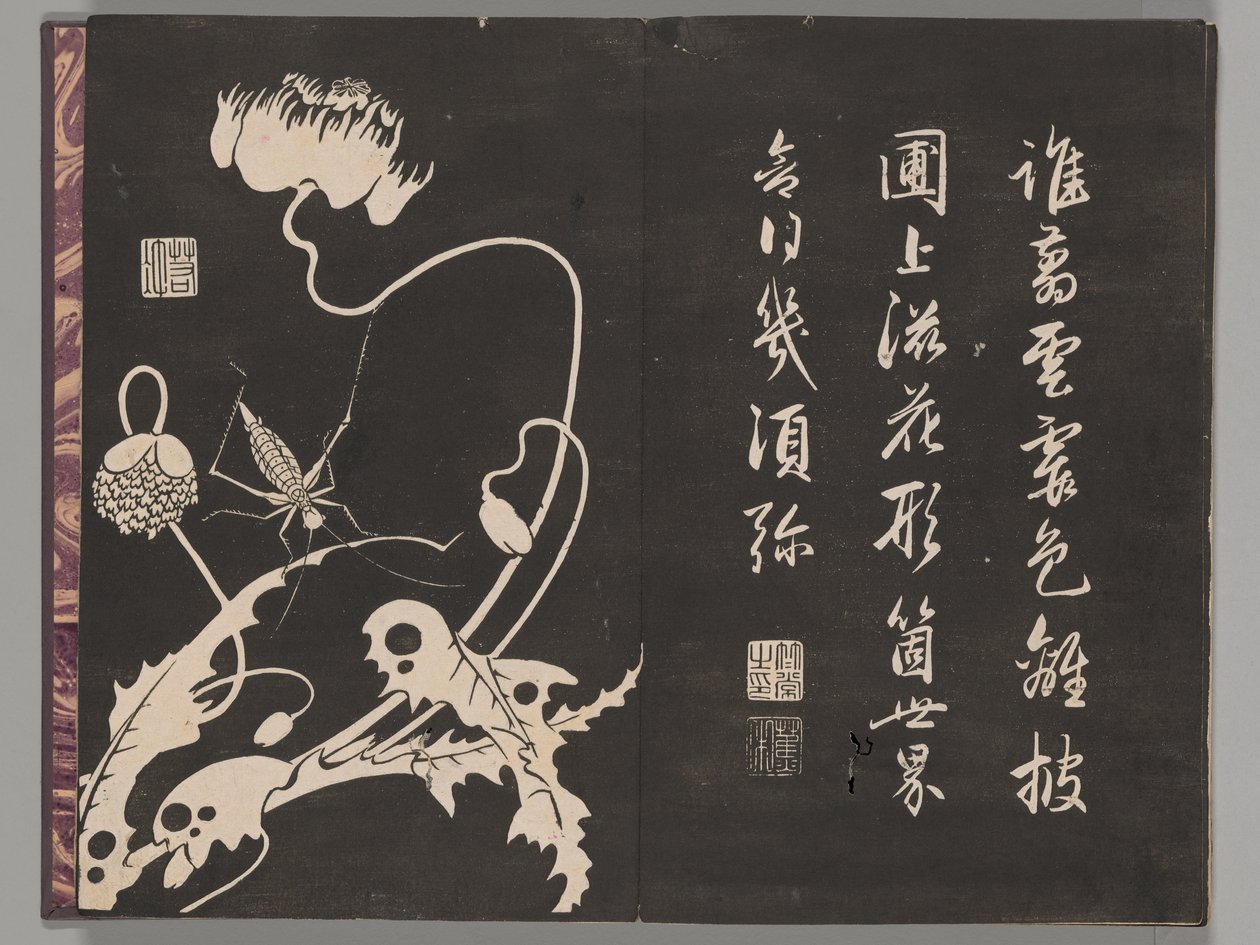訴権 席札 作： 伊藤若chu