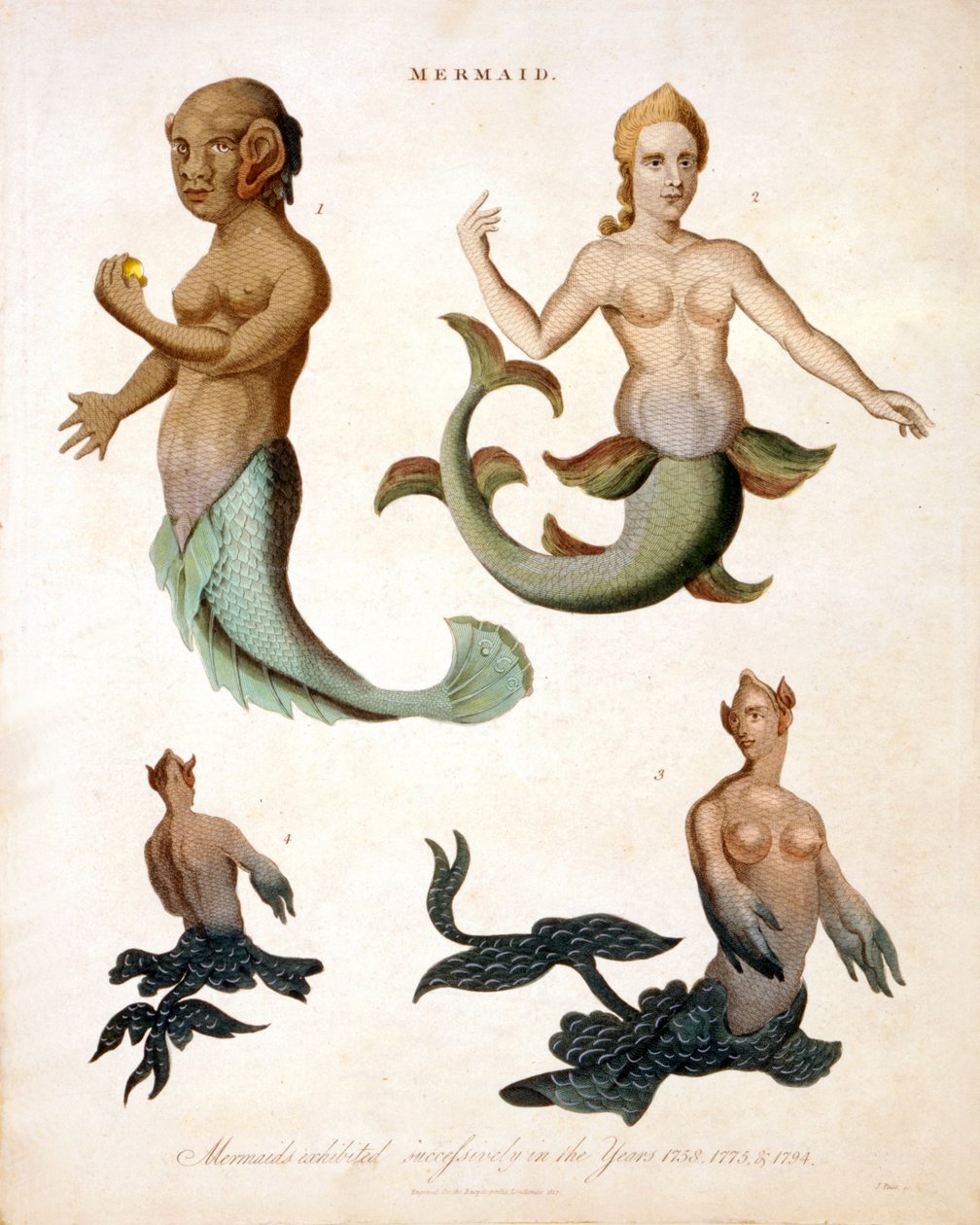 人魚、百科事典Londinensis、1817色の彫刻 作： J.パス