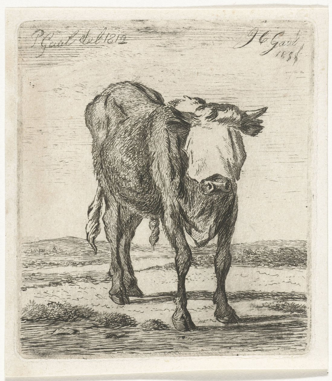 目隠しされた雄牛 作： Jacobus Cornelis Gaal