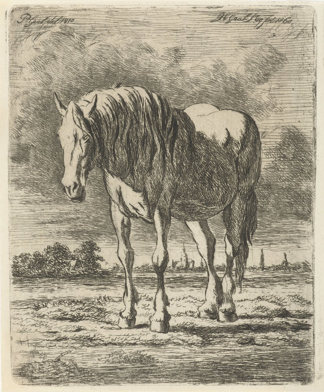 立つ白馬 作： Jacobus Cornelis Gaal