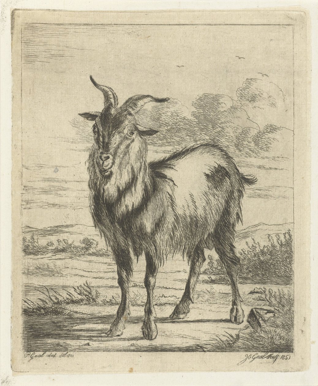 立っているヤギ 作： Jacobus Cornelis Gaal