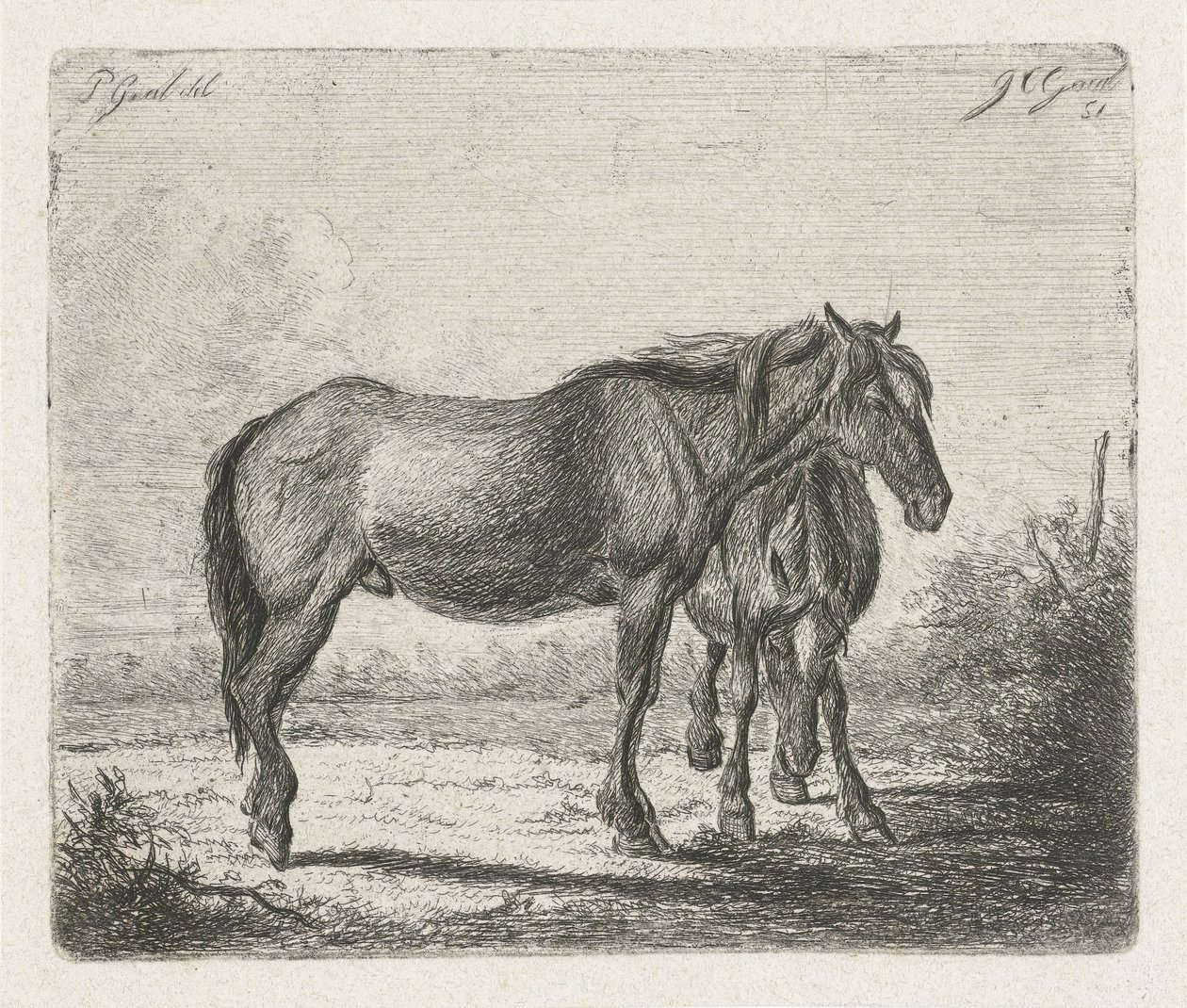 二頭の馬 作： Jacobus Cornelis Gaal