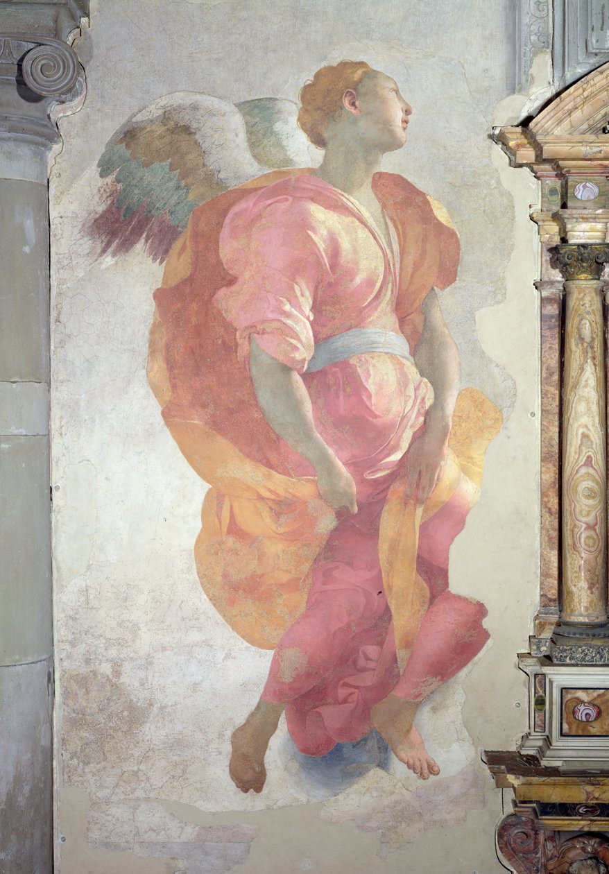 訪問、祭壇の左側にある天使の詳細、1528-30フレスコ画 作： ヤコポ・ポントルモ