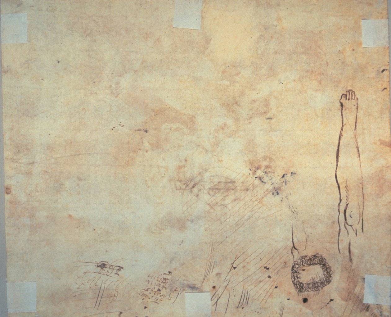 脚、フラリッシュ、落書きの研究 作： ジャック・ベランジュ