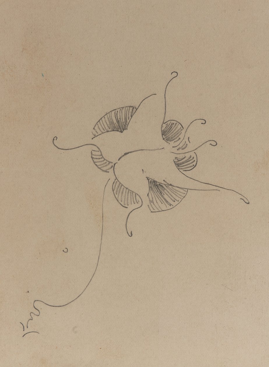 ウィスラーの蝶、1890年頃（段ボールに鉛筆） 作： ジェームズ・アボット・マクニール・ウィスラー