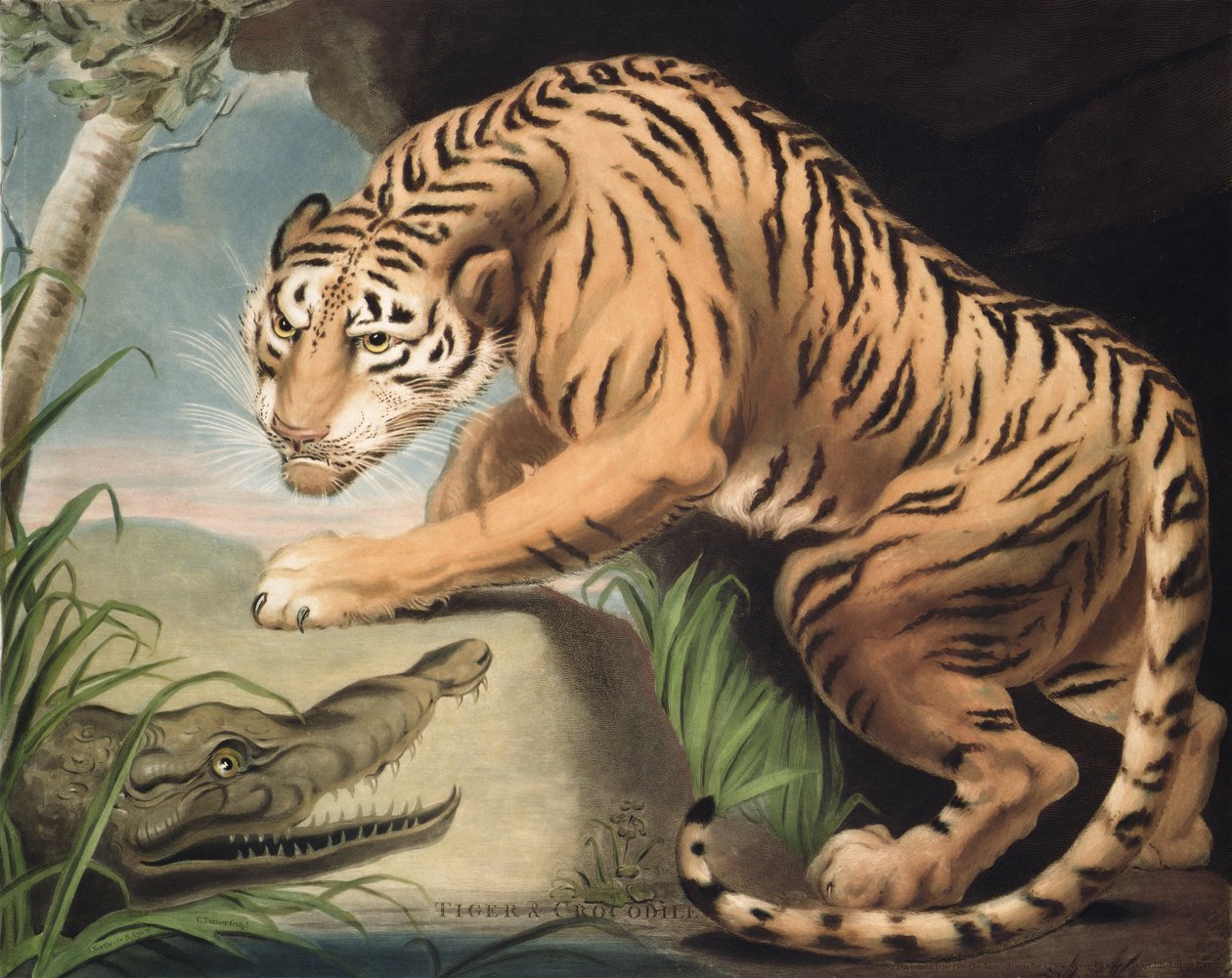 チャールズターナー（1773-1857）によって刻まれた虎とワニ、パブ。 James Daniell und Co.、1799（メゾチント彫刻） 作： ジェームス・ノースコート