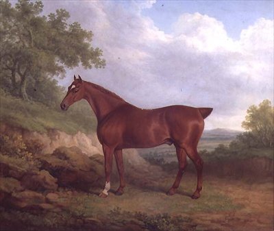 A Chestnut Thoroughbred（油彩・キャンバス） 作： ジェームズ・バレンジャー