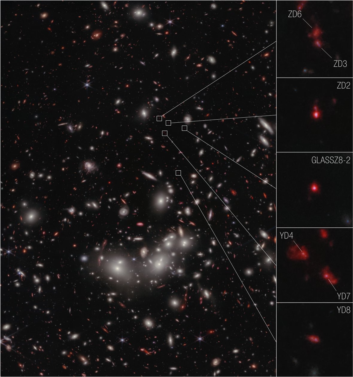 銀河プロトクラスター（NIRCam画像） 作： ジェイムズウェッブ宇宙望遠鏡（NASA）