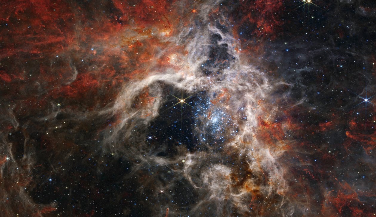 タランチュラ星雲（NIRCam画像） 作： ジェイムズウェッブ宇宙望遠鏡（NASA）