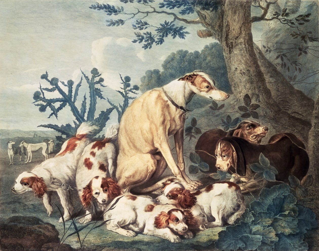 Daniel Lerpiniere（c.1745-85）によって刻まれた犬の肖像、パブ。ジョンとジョサイア・ボイデル、1799年（点描彫刻） 作： ヤン・ファイト