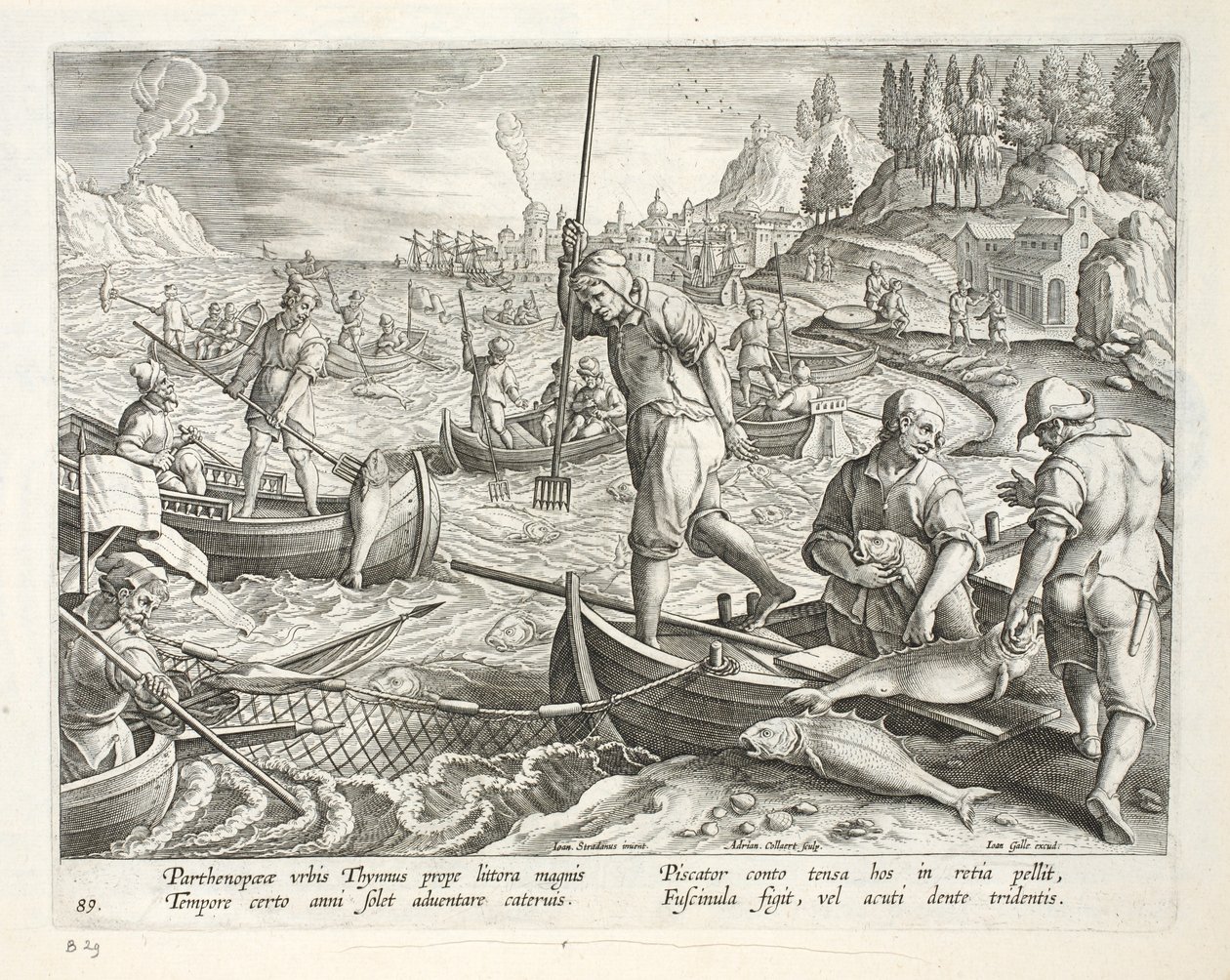 Jan Collaert（1566-1628）によって彫刻された、ナポリ湾の網とトライデントを使った釣り、プレート89、「Venationes、Ferarum、Avium、Piscium」（狩猟：野生の獣、鳥、魚）のイラスト、パブ 作： ヤン・ファン・デル・ストレイト