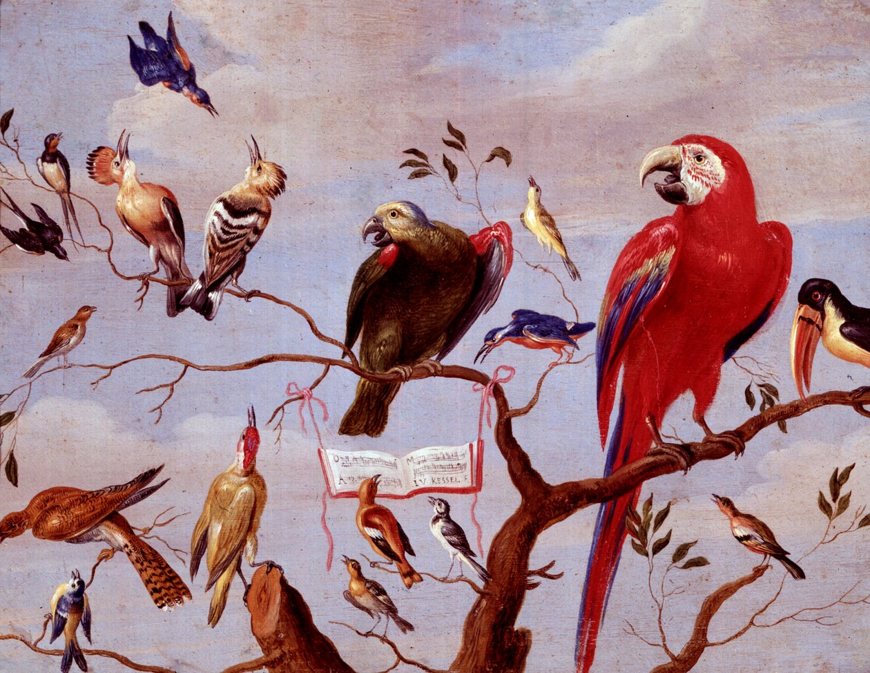 鳥の合唱、1650〜1675年頃（金属に油彩） 作： ヤン・ファン・ケッセル長老