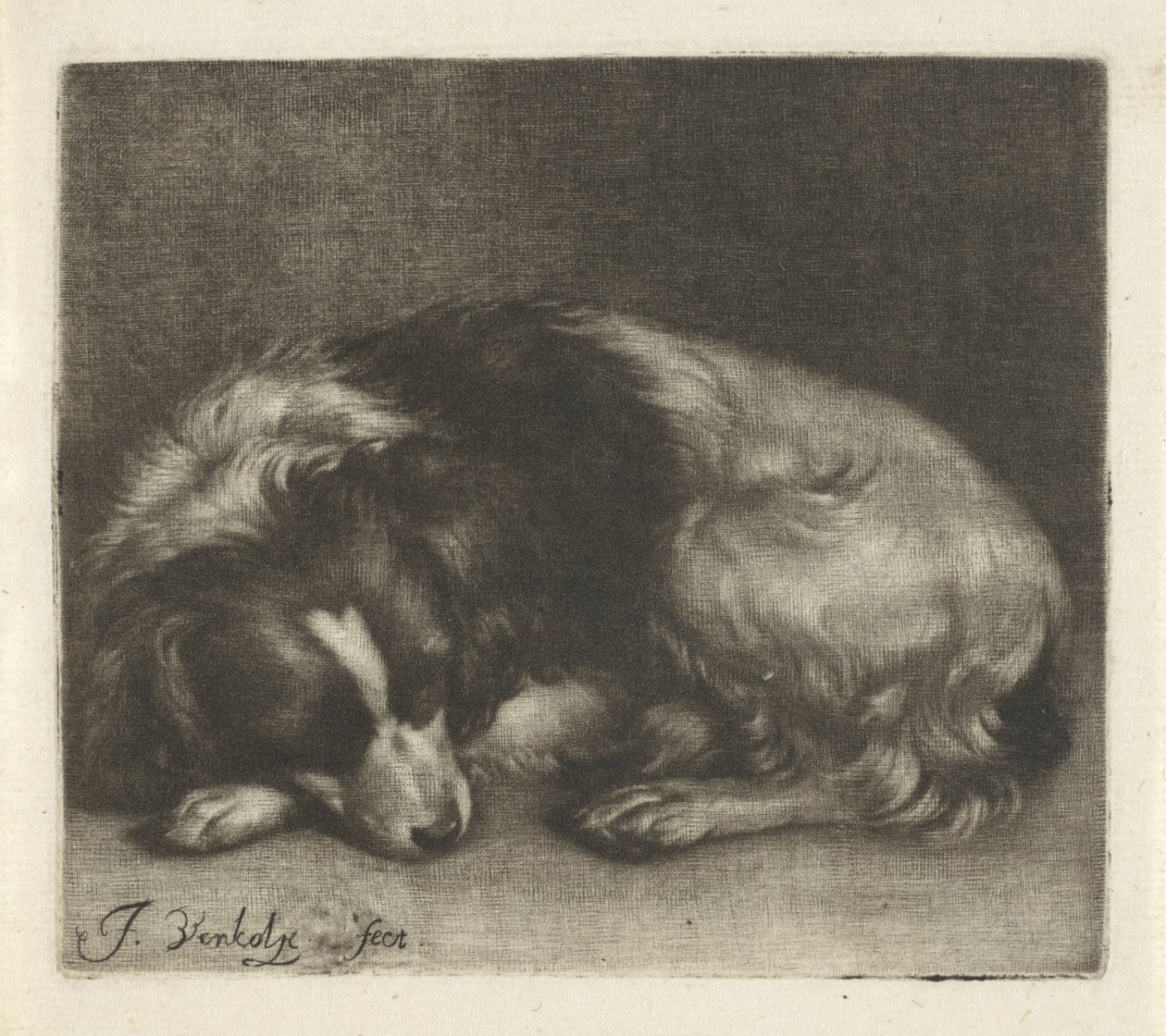 眠っている犬、おそらくスパニエル 作： Jan Verkolje（I）
