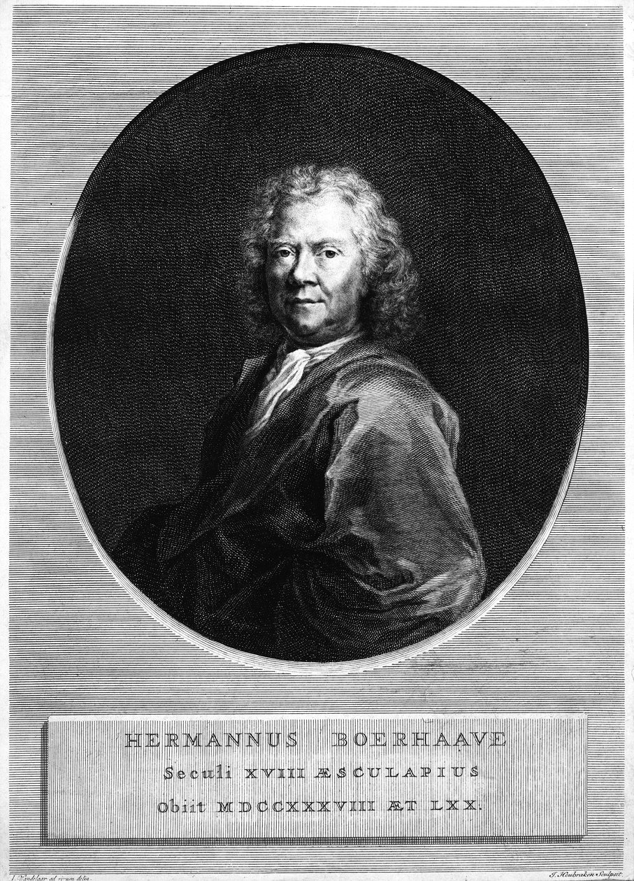 Jacobus Houbrakenによって刻まれるハーマンBoerhaave 作： ヤン・ワンデラー