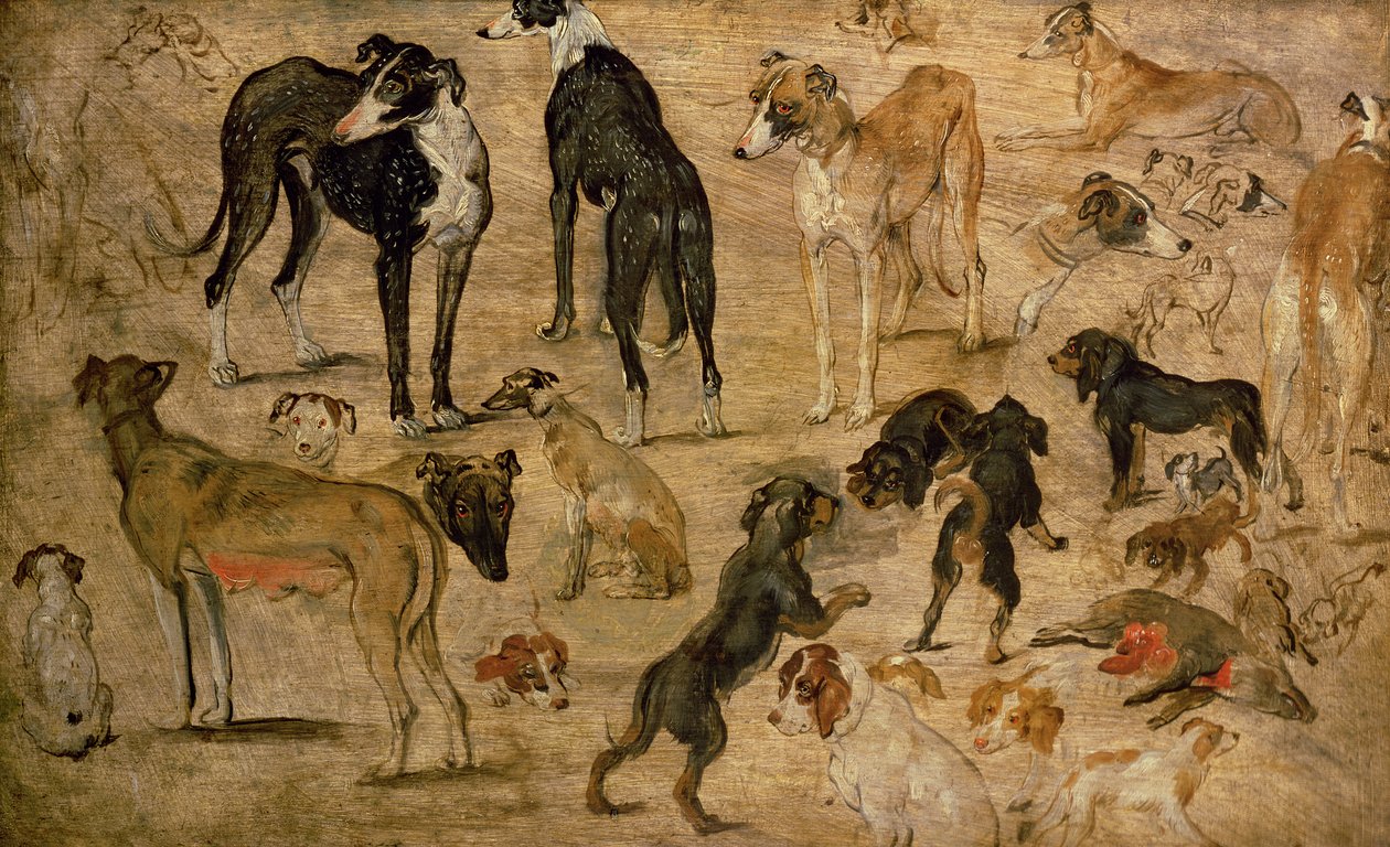 猟犬の研究、1616 作： ヤン・ザ・エルダー・ブリューゲル