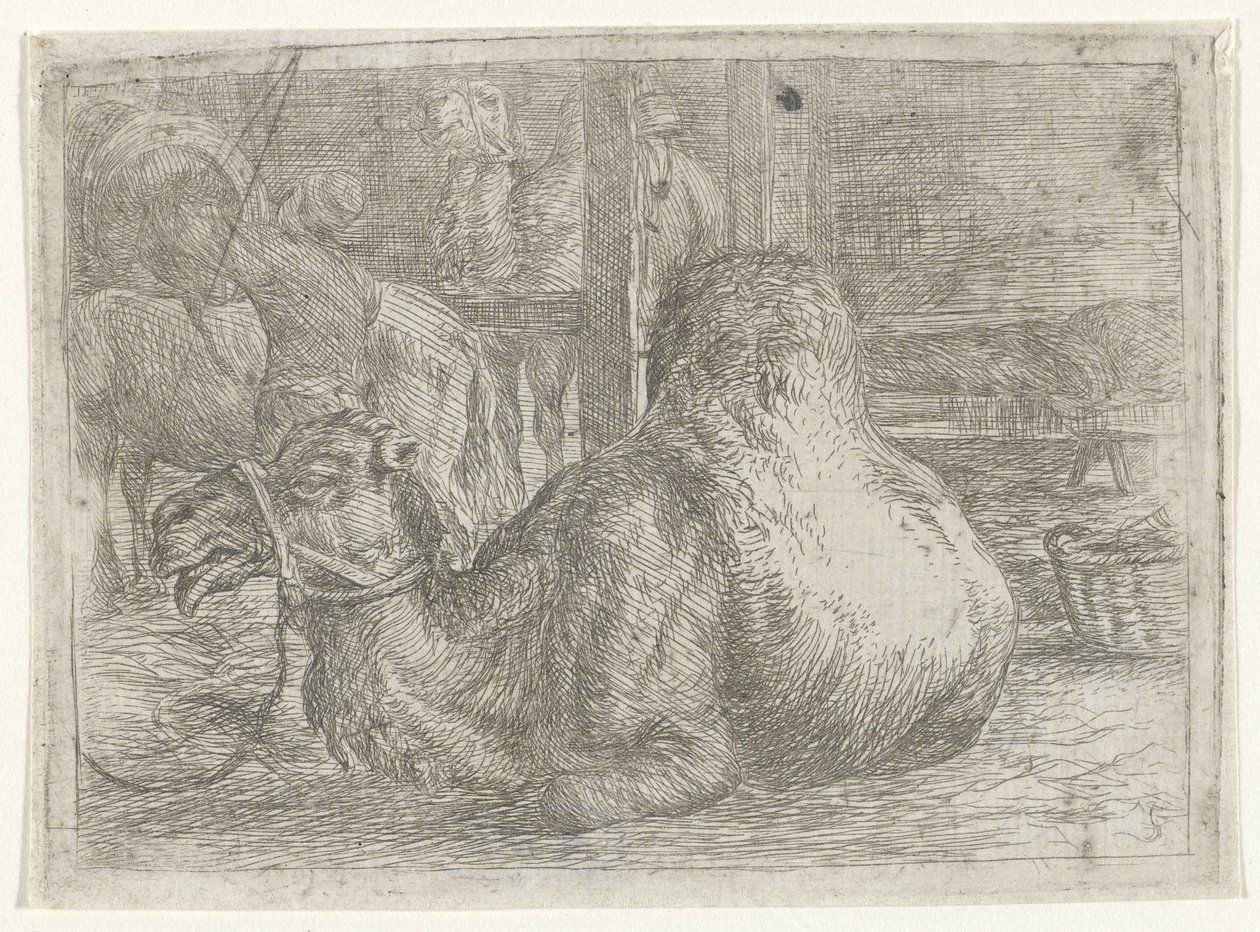 横になっているラクダ 作： Jan van Ossenbeeck