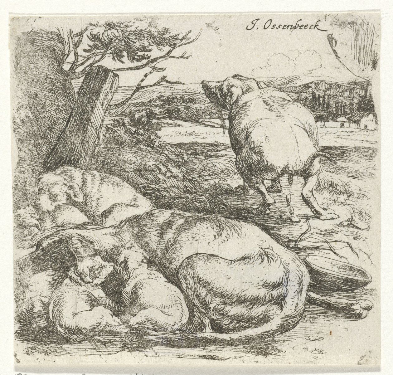 子犬と雌犬 作： Jan van Ossenbeeck