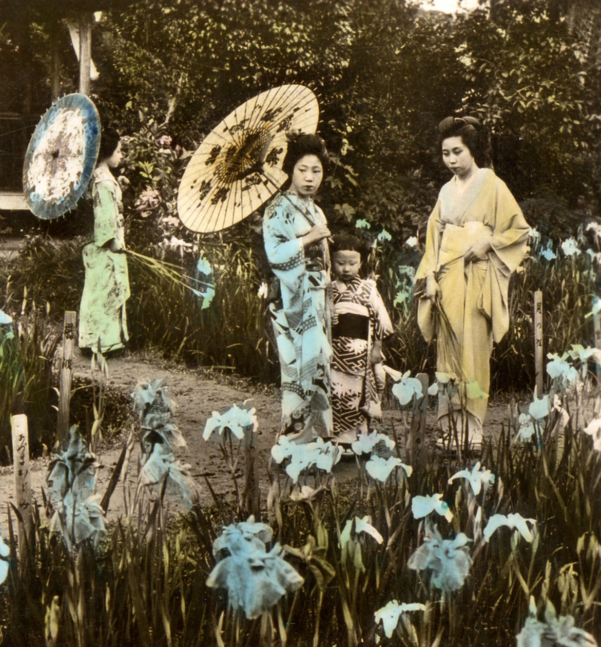 アイリスガーデンの散歩、1900年頃（アルブメン写真） 作： 日本の写真家