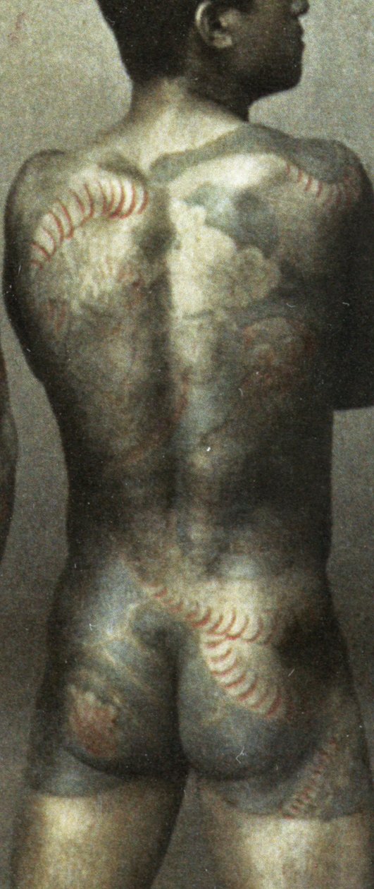 伝統的な日本の入れ墨を持つ男、1880年頃（手塗りの卵白写真）（398092の詳細） 作： 日本の写真家