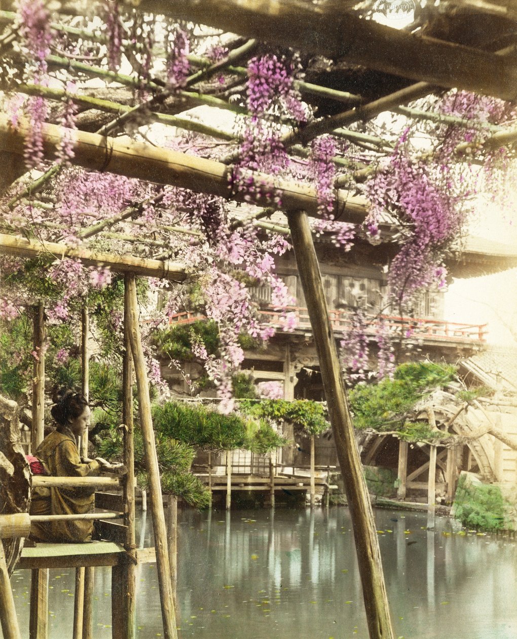 藤の花、亀戸寺庭園、東京、1890年代初頭（手描きの写真）（172942も参照） 作： 日本の写真家