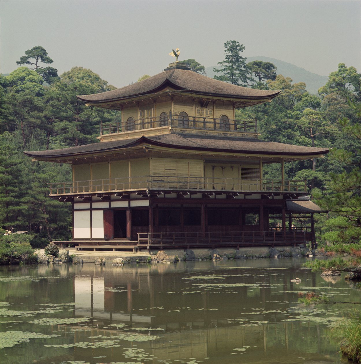 将軍を追悼する金閣寺（金閣）足利義光（1358-1408）15世紀（19世紀再建） 作： 日本語学校