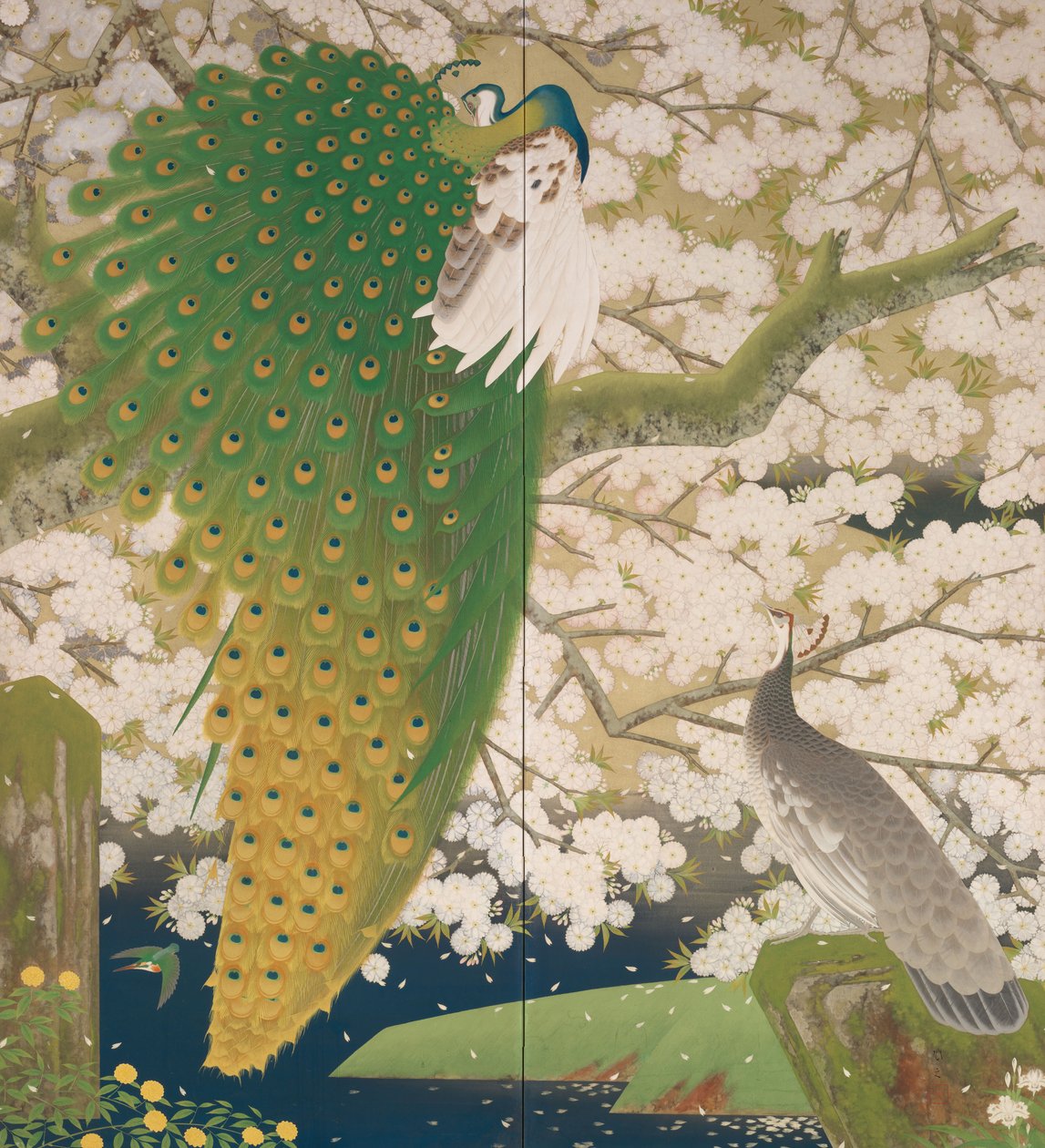 孔雀と桜、1925年頃（金属と紙の色） 作： 日本語学校