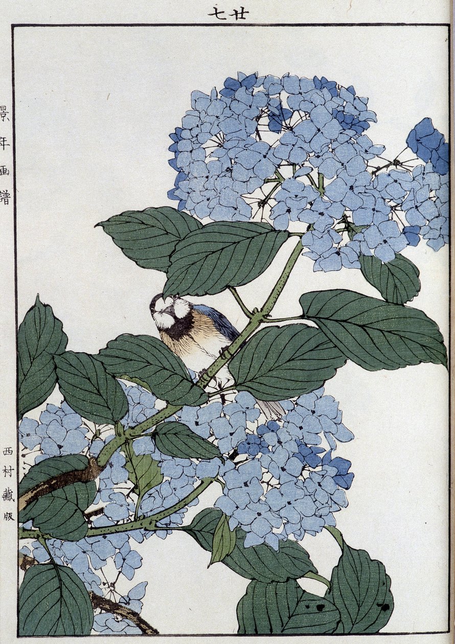 紫陽花の中の鳥 - 日本のプリント 作： 日本語学校
