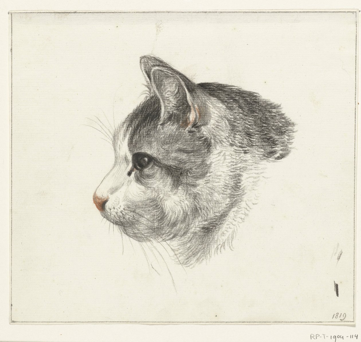 左に猫の頭 作： ジャン・バーナード