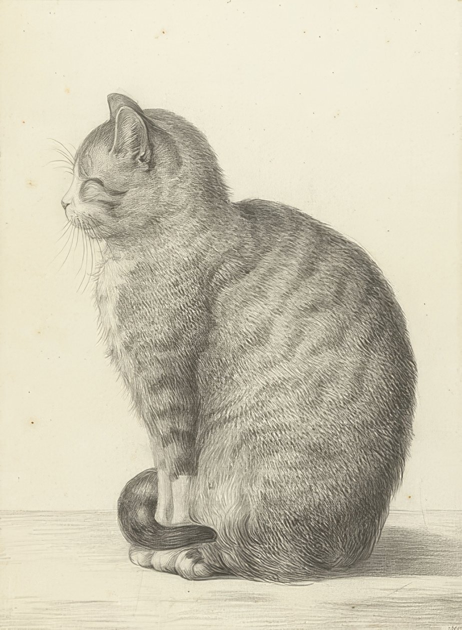 左に座っている猫。 1815 作： ジャン・バーナード