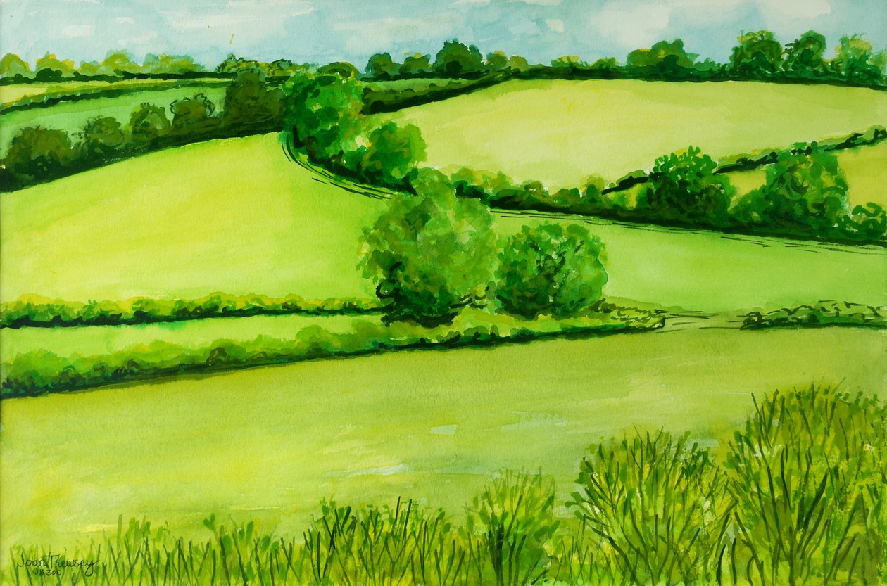 2010年夏の風景、水彩 作： Joan Thewsey