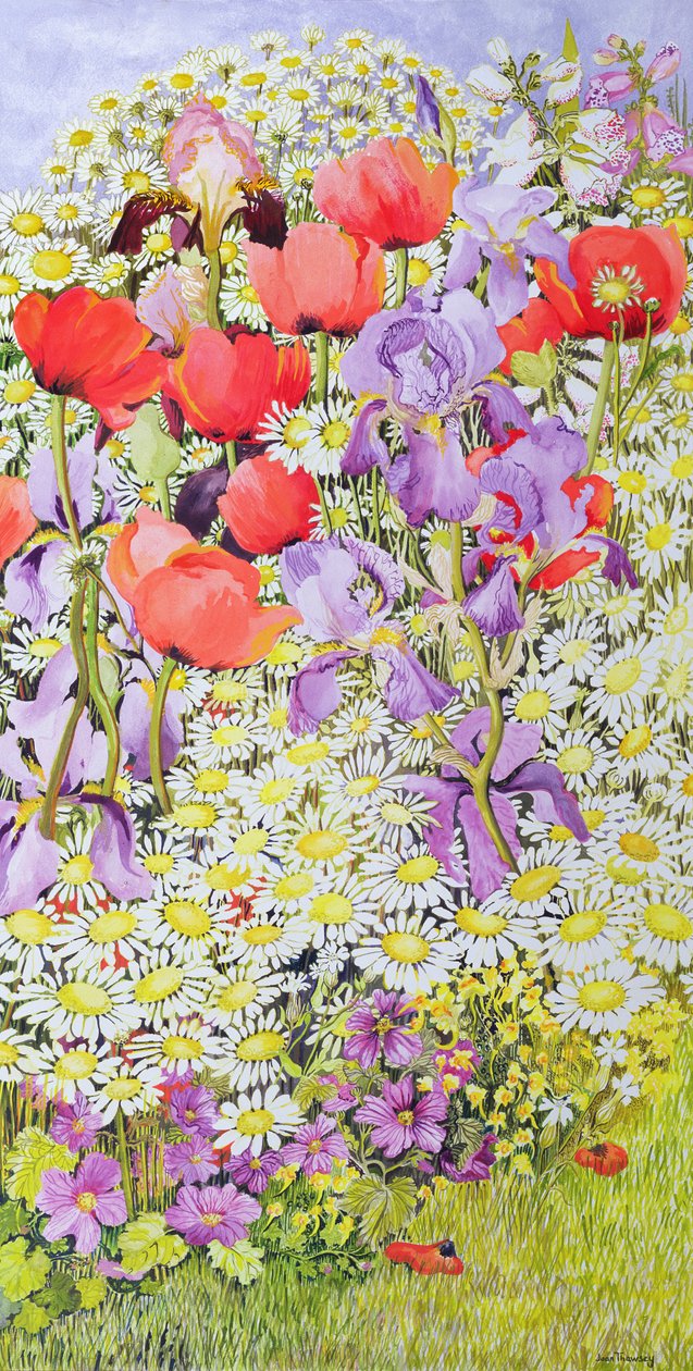 野生の花の保護;ガーデンボーダー 作： Joan Thewsey