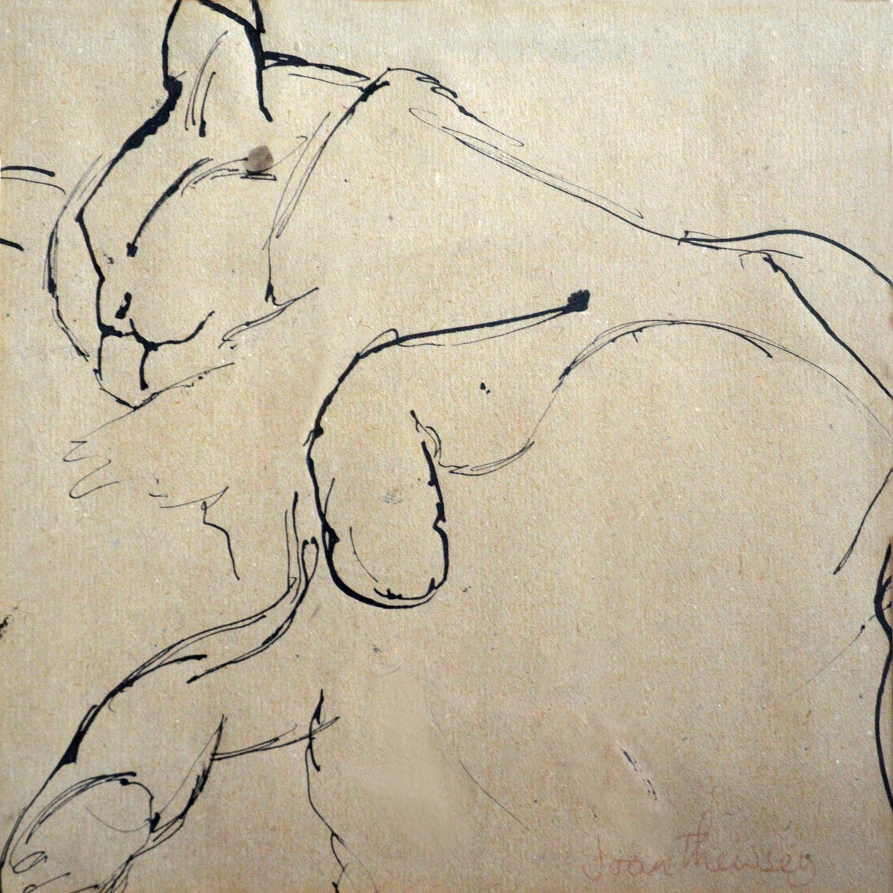 ネコ、マウサー、1980年（ペンとインク） 作： Joan Thewsey