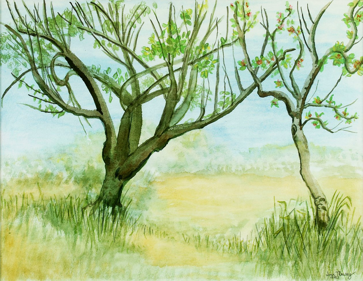 春先の風景、2本の木、2009年 作： Joan Thewsey