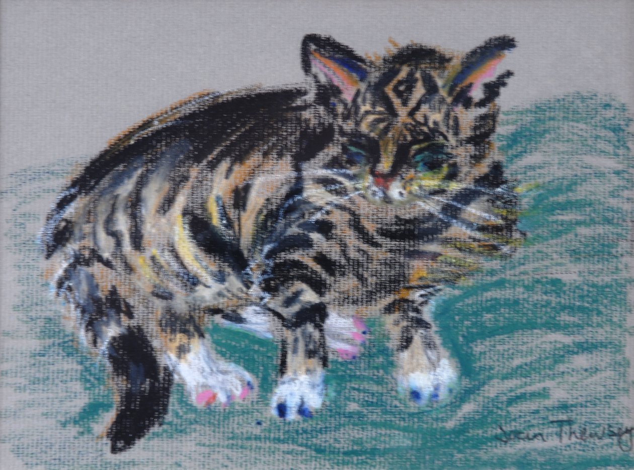 ぶち猫、2005（パステル） 作： Joan Thewsey