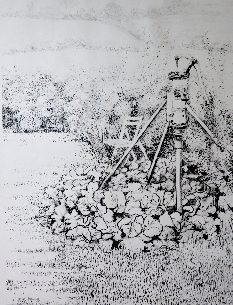 ガーデンポンプ、1973（木炭） 作： Joan Thewsey