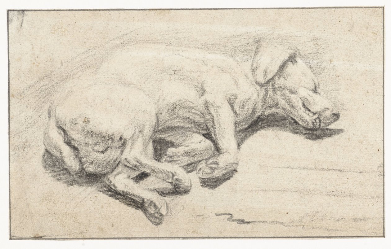 横たわっている犬、眠っている 作： Joannes Fijt（帰属）