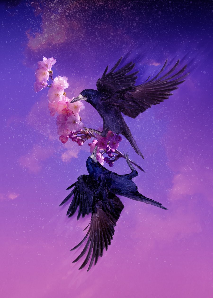 鳥の王国 5、2018 (デジタル フォト アート) 作： ヨハン・リリヤ