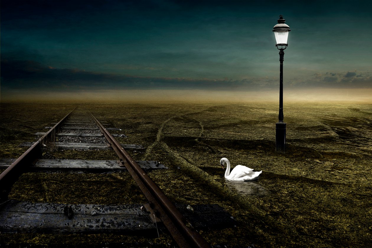 鉄道、2013年（写真） 作： ヨハン・リリヤ