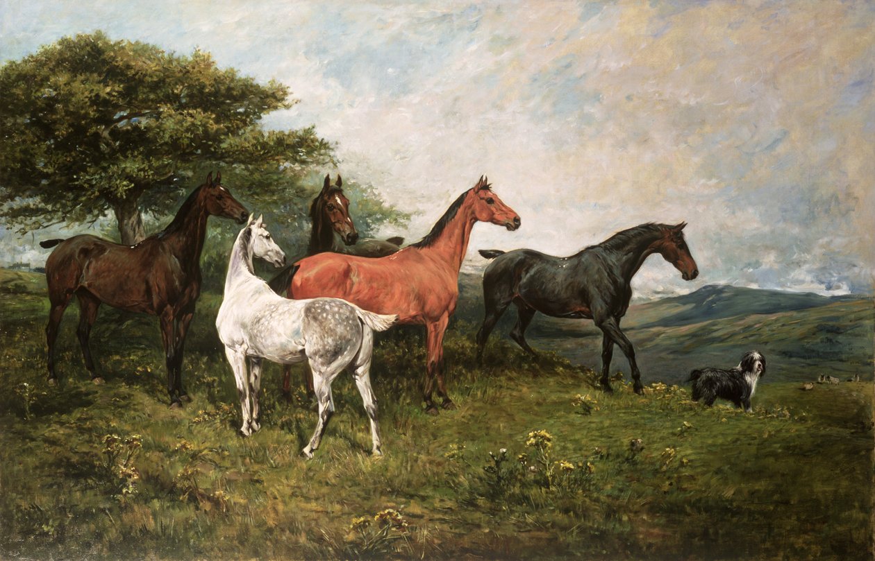 牧羊犬と馬と子馬 作： ジョン・エムズ