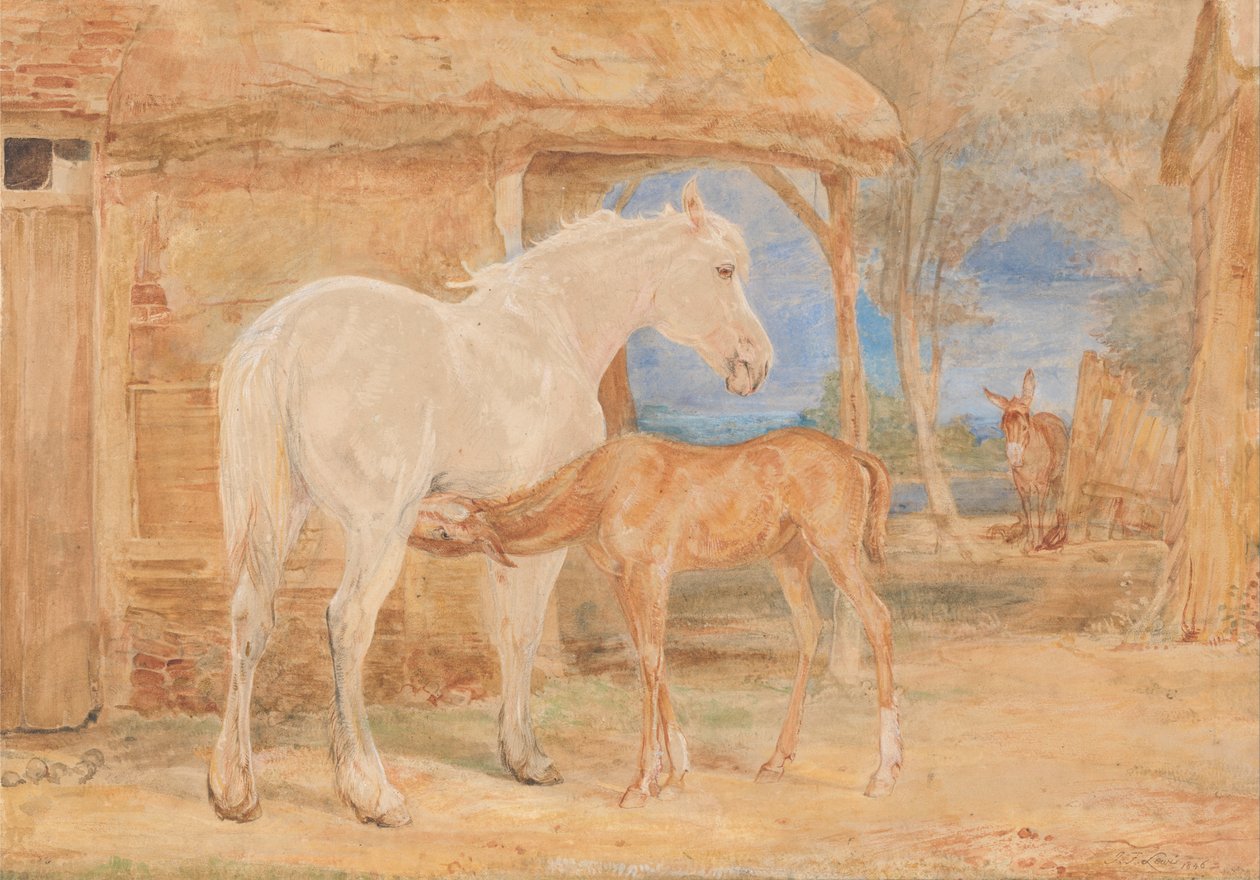 灰色の馬と栗の子馬 作： ジョン・フレデリック・ルイス