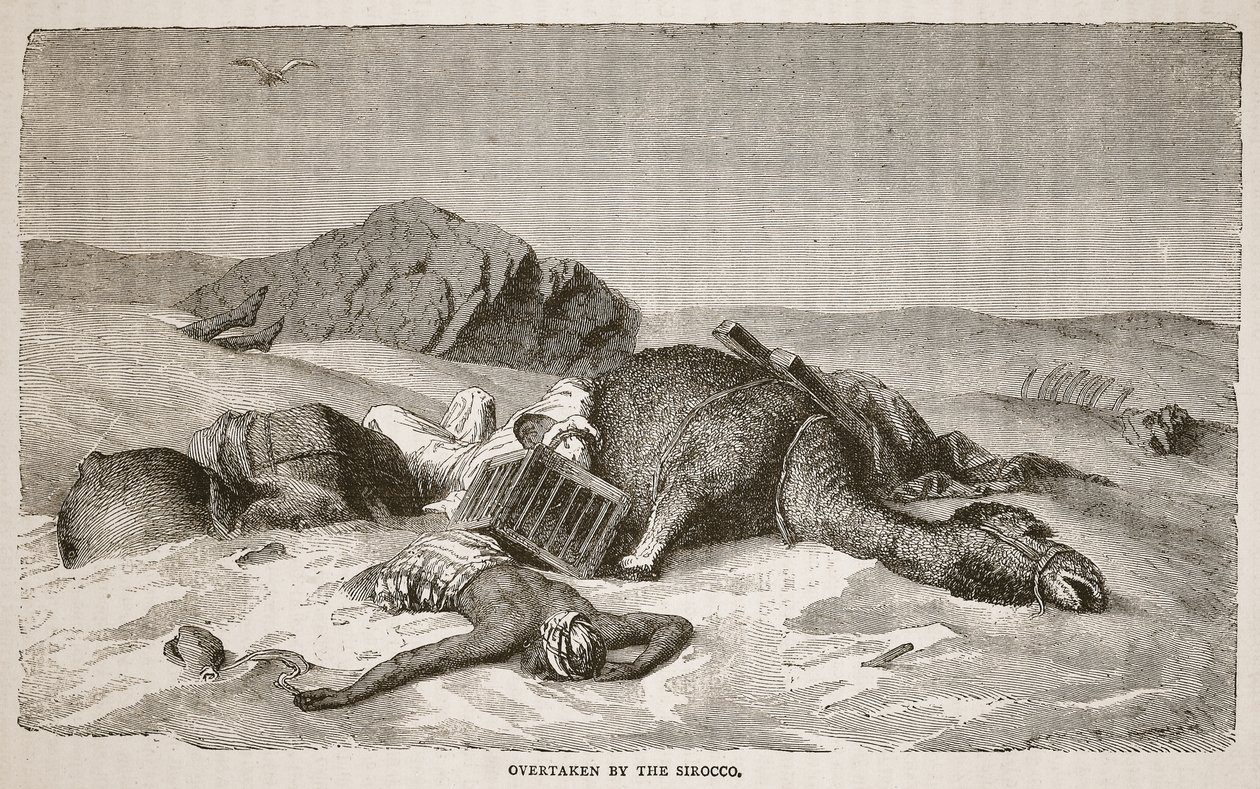 J.ユーイングリッチーのパブ、The Pictorial Edition of the Life and Discoveries of David Livingstoneからのイラスト。 A. Fullarton und Co.、1876年 作： ジョン・マーティン