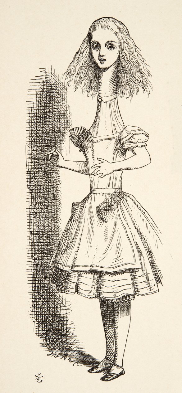 アリスは、ルイスキャロル（1832〜98）が1891年に発表した「不思議の国のアリスアドベンチャー」から、タラーを育てています。 作： ジョン・テニエル