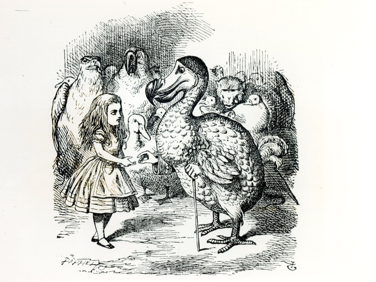 アリスとドードーの出会い、ルイスキャロル作「不思議の国のアリスの冒険」のイラスト、1865年 作： ジョン・テニエル