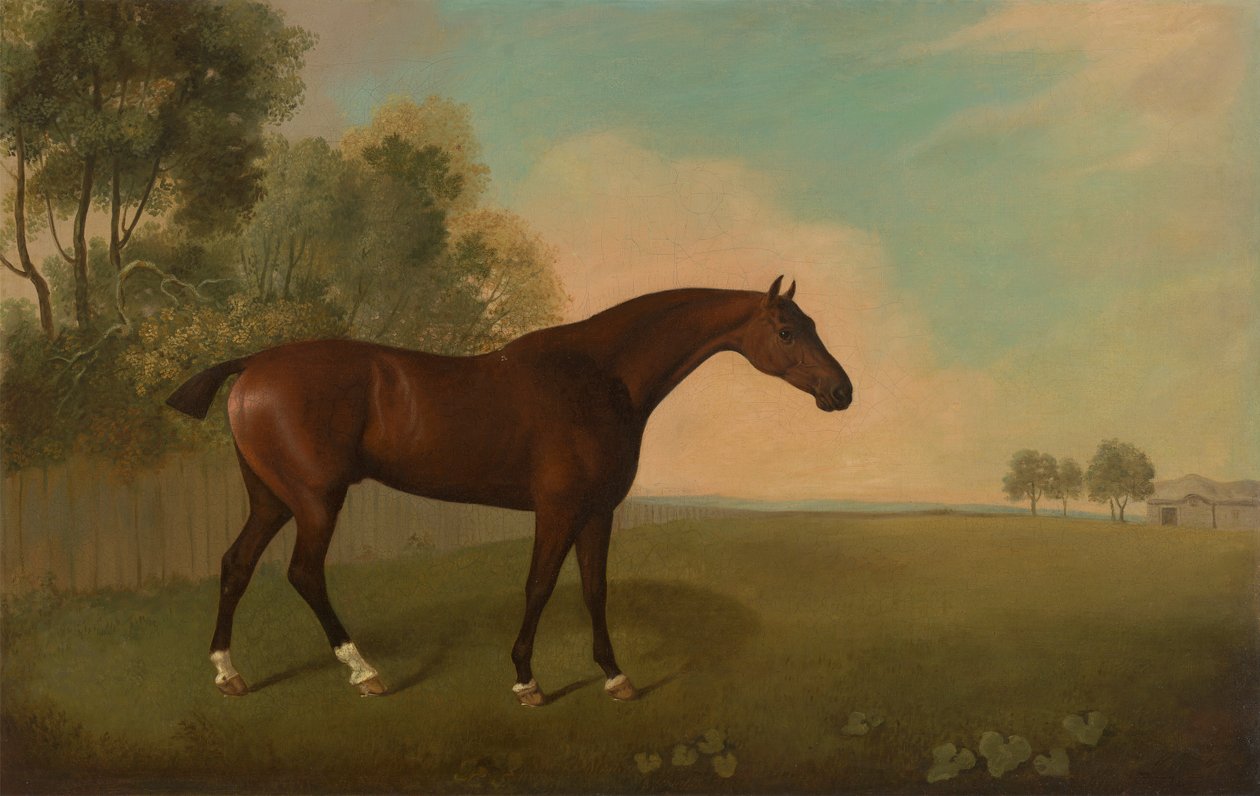 A Bay Horse in a Field   1433019   ja       japanese Successfully Translated  Original: The derision of Christ Face of the suffering Christ has thorns. Painting by Daniele Crespi (1598-1630) 17th century Basilica San Giovanni, Busto Arsizio Italy Translat: 作： ジョン・ボールトビー